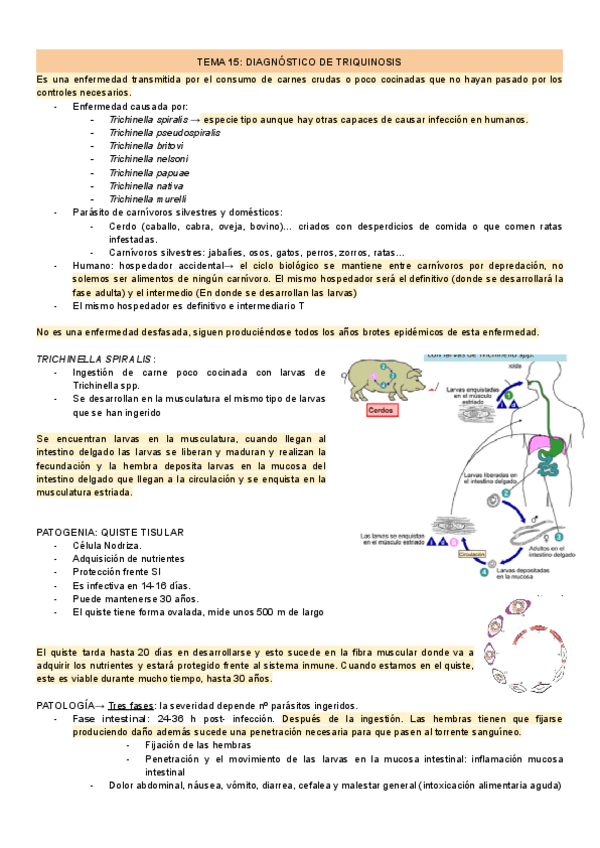 Miniatura del documento TEMA-15-DIAGNOSTICO-DE-TRIQUINOSIS-1.pdf