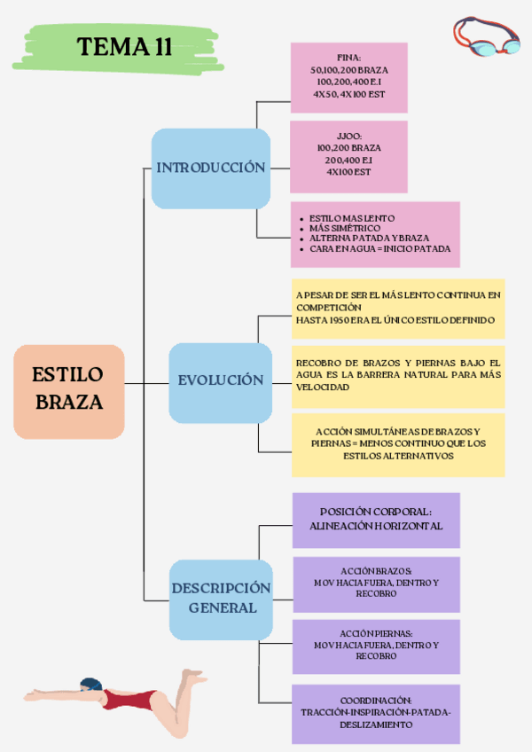 Miniatura del documento MAPA-CONCEPTUAL-TEMA-11-BRAZA.pdf
