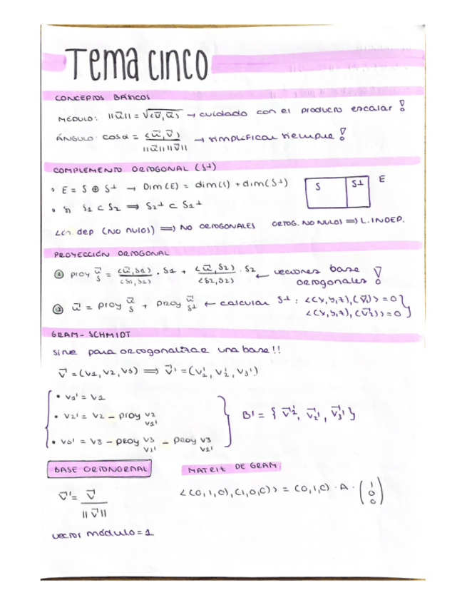 Miniatura del documento TEMA-5-Y-6.pdf