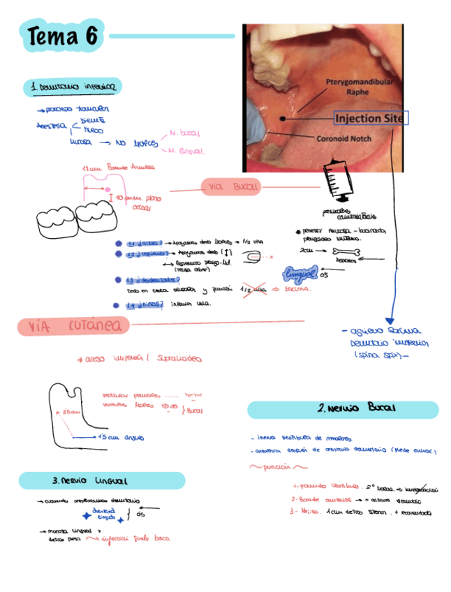 Miniatura del documento Quirurgica.pdf