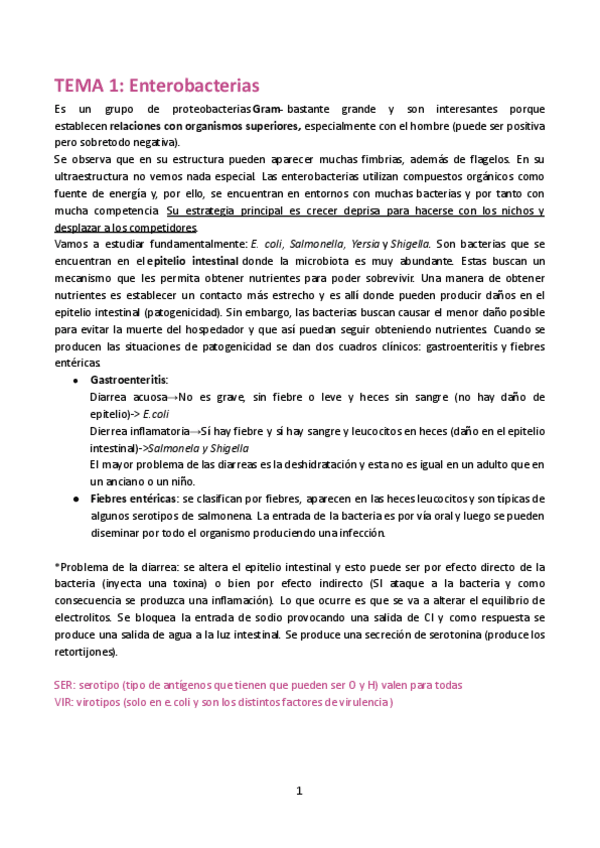 Miniatura del documento Enterobacterias.docx.pdf