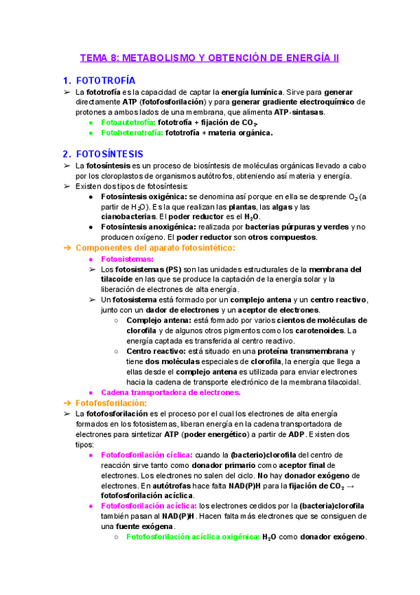 Miniatura del documento Tema-8-Metabolismo-y-obtencion-de-energia-II.pdf