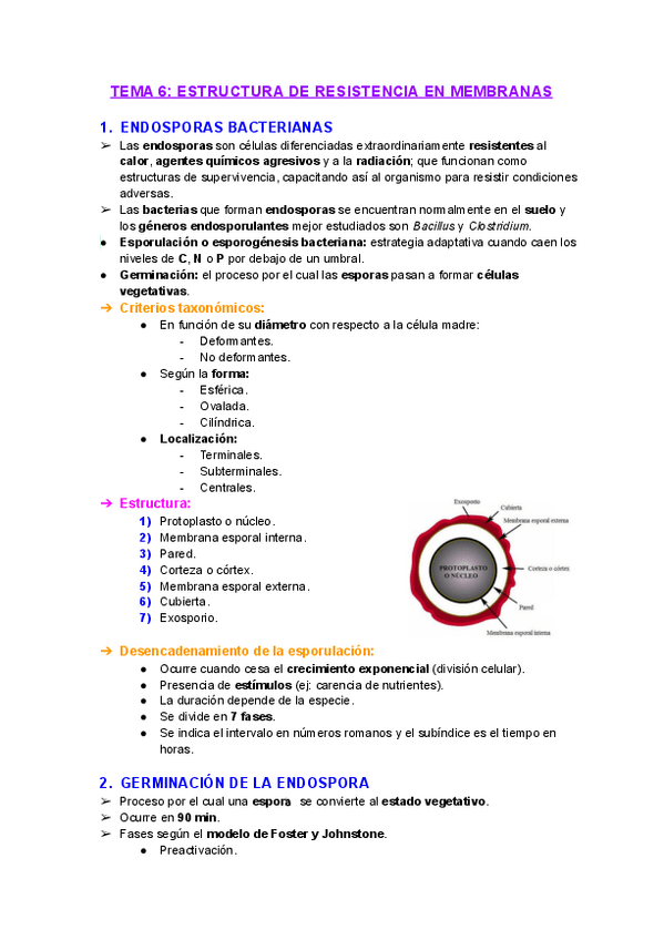 Miniatura del documento Tema-6-Estructura-de-resistencia-en-membranas.pdf