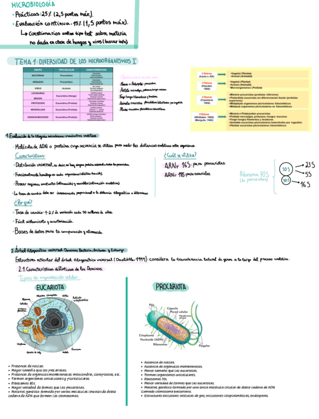 Miniatura del documento Tema-1-Diversidad-de-los-microorganismos-I.pdf