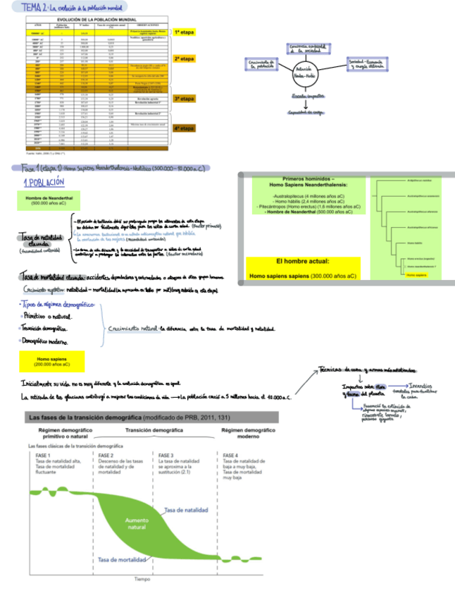 Miniatura del documento Bloque-1-Tema-2.pdf