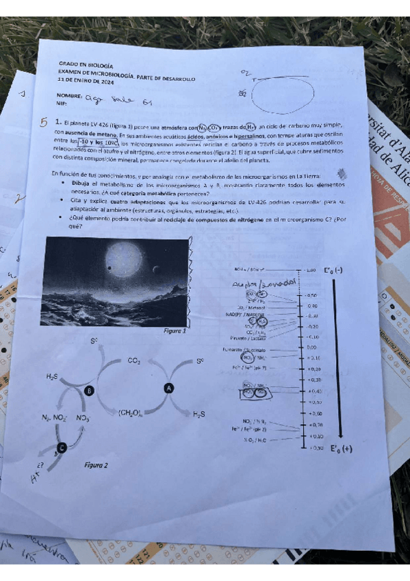 Miniatura del documento Examen final y test 2024.pdf