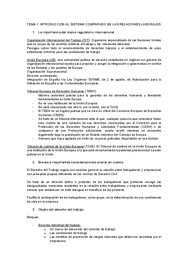 Miniatura del documento tema-1-Internacional.pdf