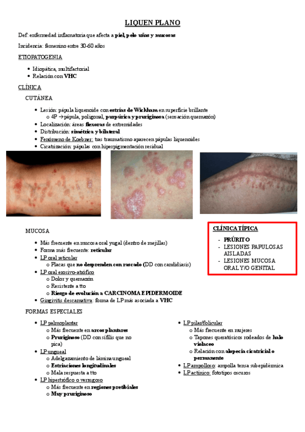 Miniatura del documento LIQUEN-PLANO.pdf