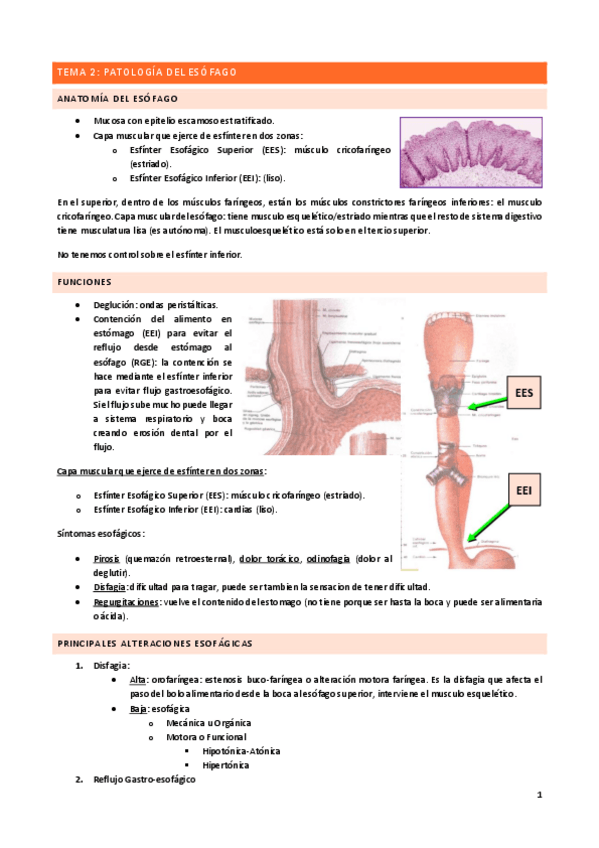 Miniatura del documento Tema-2.pdf