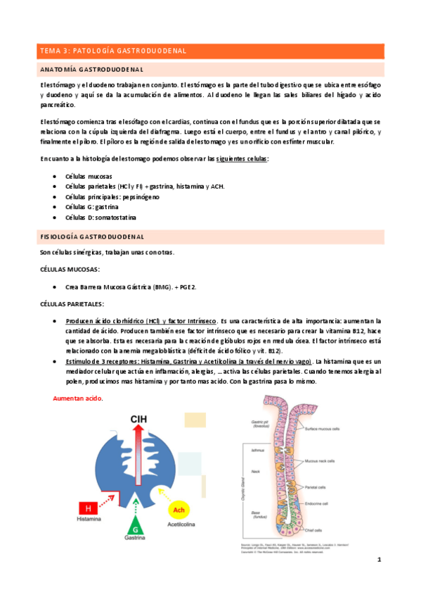 Miniatura del documento Tema-3.pdf