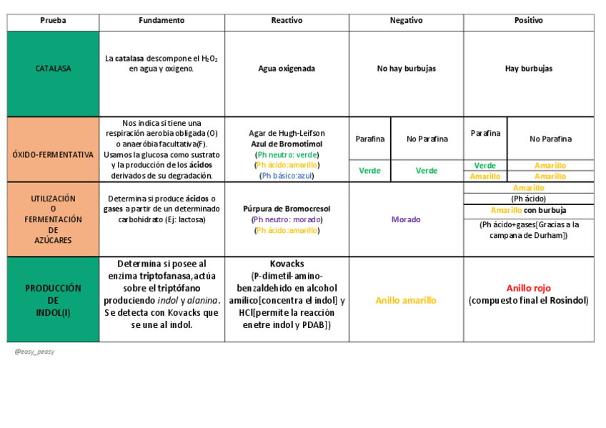 Miniatura del documento Pruebas-bioquimicas-tabla-resumen.pdf
