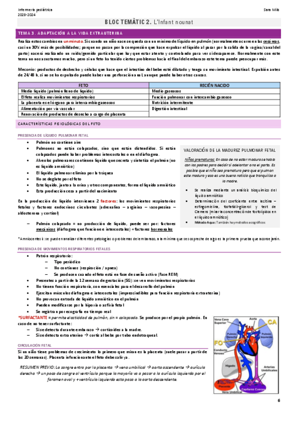 Miniatura del documento Bloc-2.-Linfant-nounat.pdf