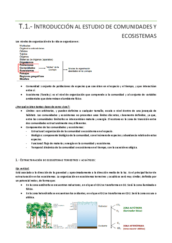 Miniatura del documento Temario-completo.pdf