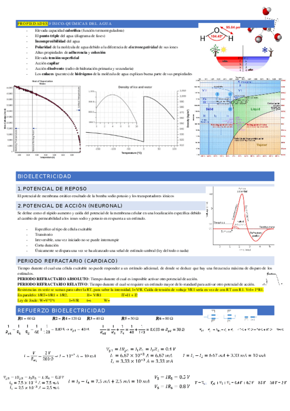 Miniatura del documento Parcial-2-Biofisica.docx