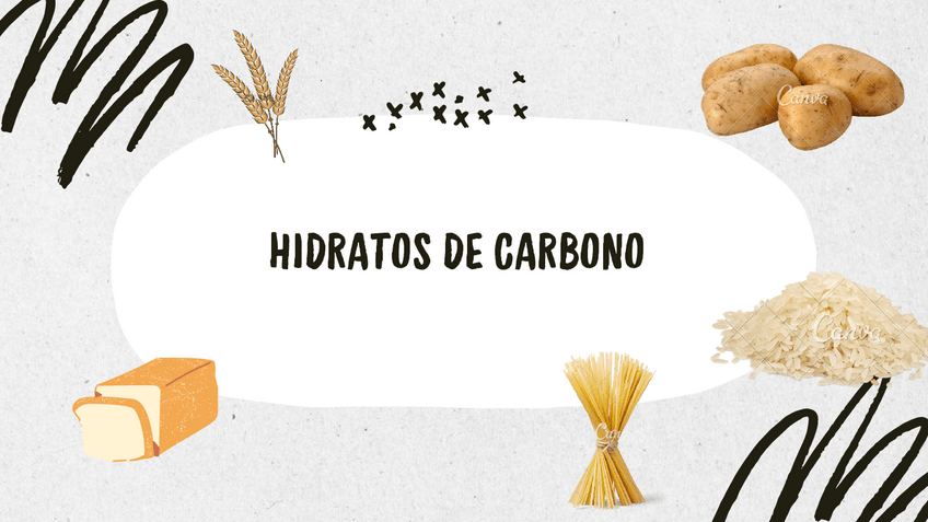 Miniatura del documento hidratos-de-carbono-FAN.pdf