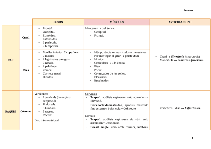 Miniatura del documento TAULA-RESUM-OSTEOMUSCULAR.pdf