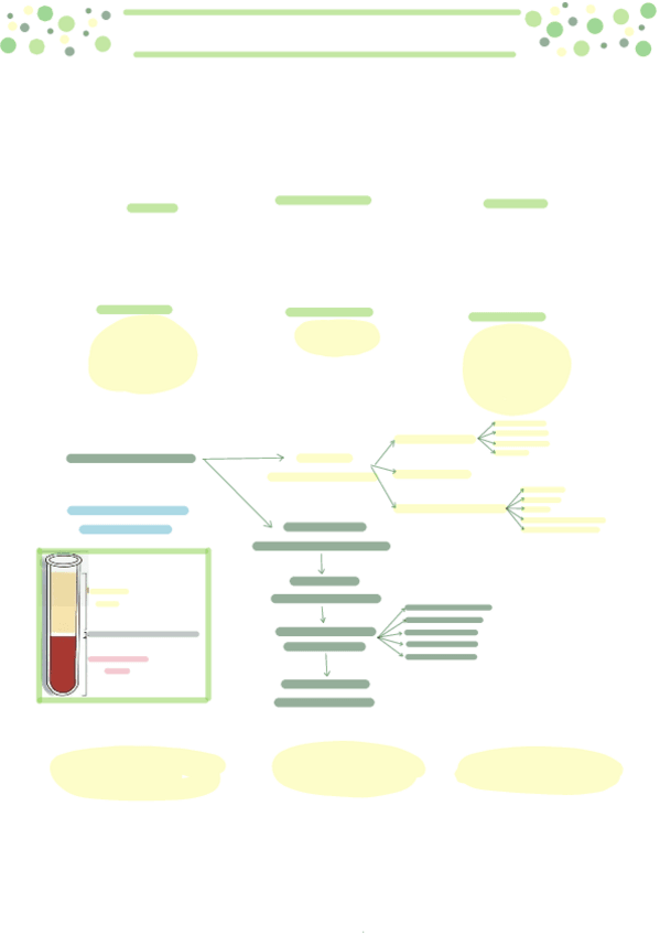 Miniatura del documento tema-13-la-sangre.pdf