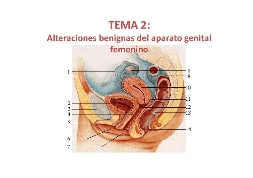 Miniatura del documento Tema2alteracionesbenignasycirugAac.pdf