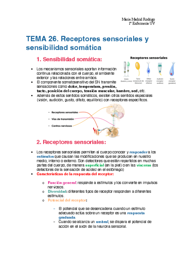 Miniatura del documento TEMA-26.-RECEPTORES-SENSORIALES-Y-SENSIBILIDAD-SOMATICA-gulag-free.pdf