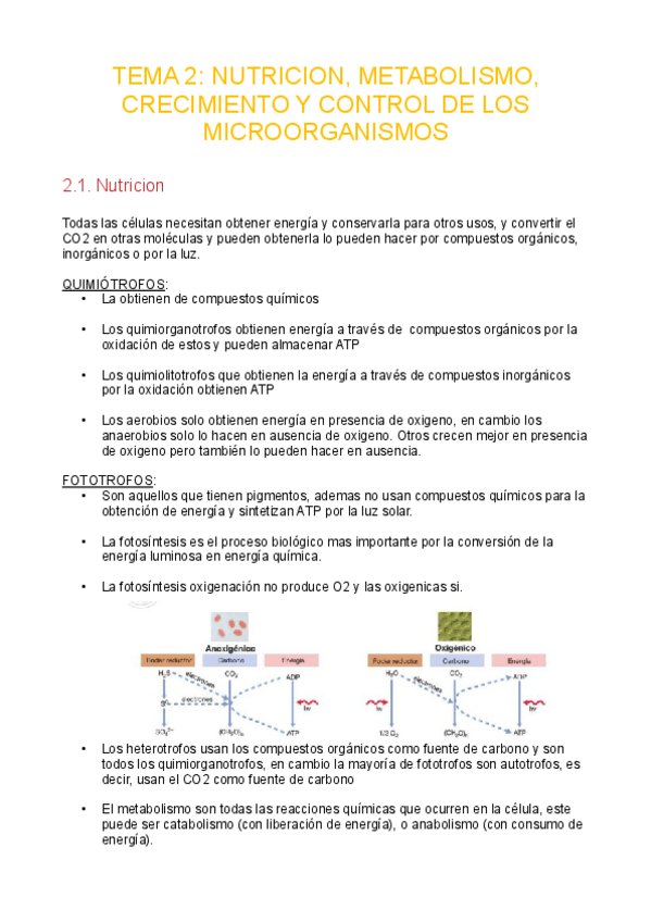 Miniatura del documento Tema2-nutricion-metabolismo.pdf