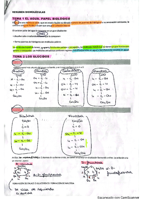 Miniatura del documento 1-PARTE-RESUMEN-BIOQUIMICA.pdf