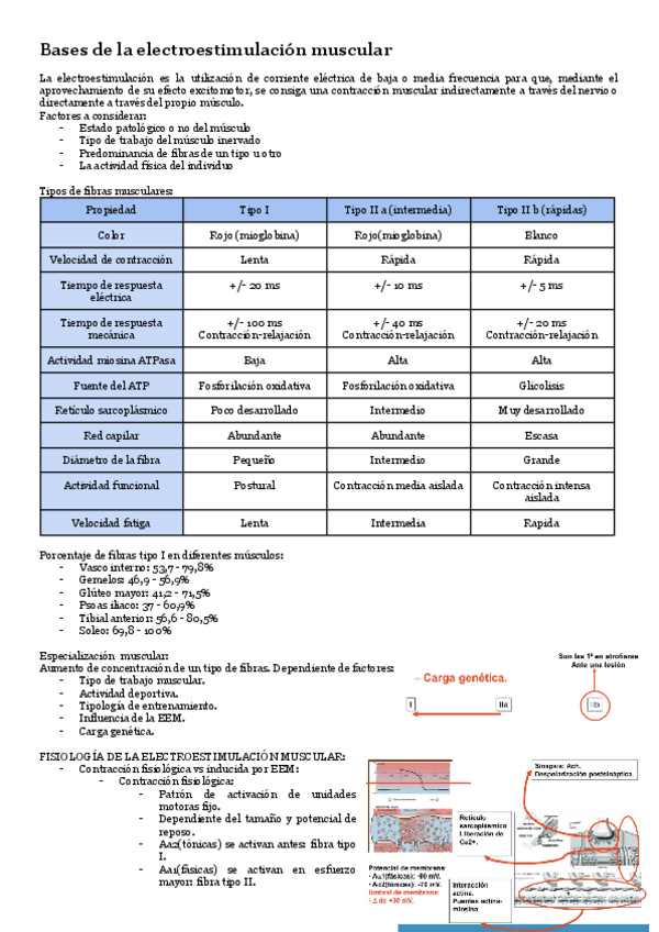 Miniatura del documento Agentes-electrofisicos-t-6-bases-de-la-electroestimulacion-muscular.pdf
