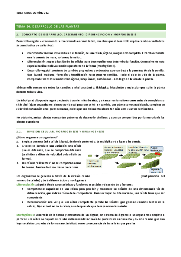 Miniatura del documento TEMA-14.pdf