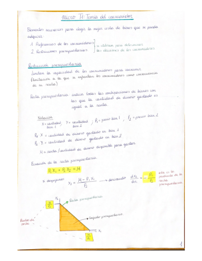 Miniatura del documento Micro-Tema-1.pdf