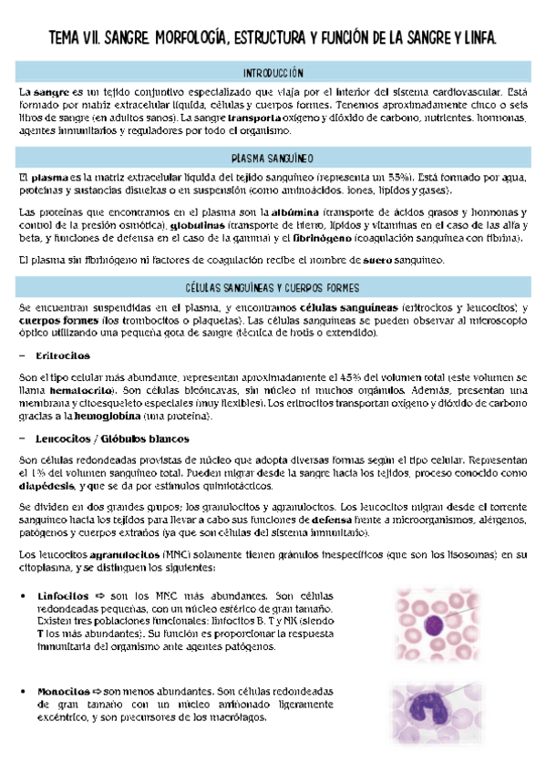 Miniatura del documento histopatologia-T7.pdf