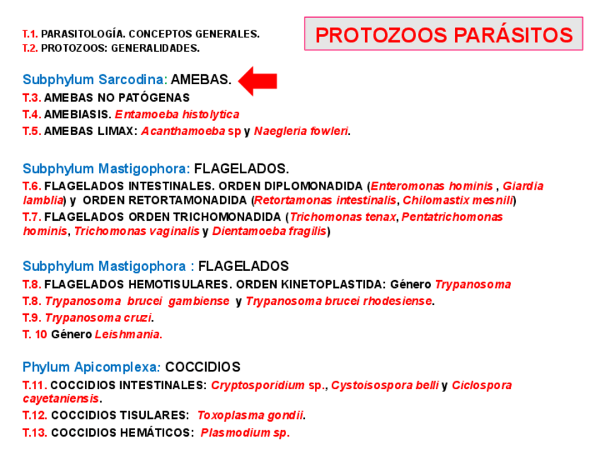 Miniatura del documento Tema-3-Amebas-No-Invasoras-De-Tejidos.pdf