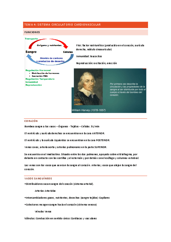 Miniatura del documento tema-4-fisiologia.pdf