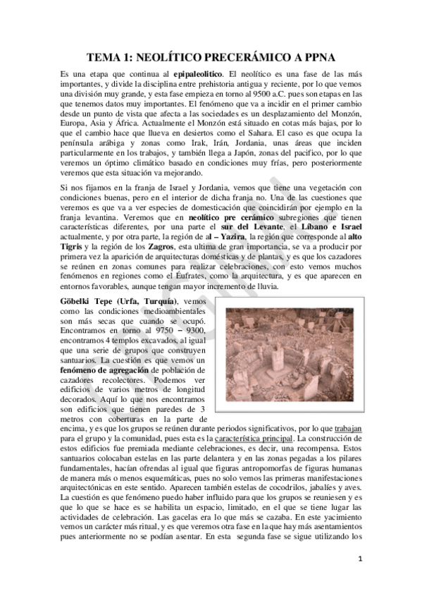 Miniatura del documento TEMARIO-PREHISTORIA-COMPLETO-NGOLOAPUNTES.pdf