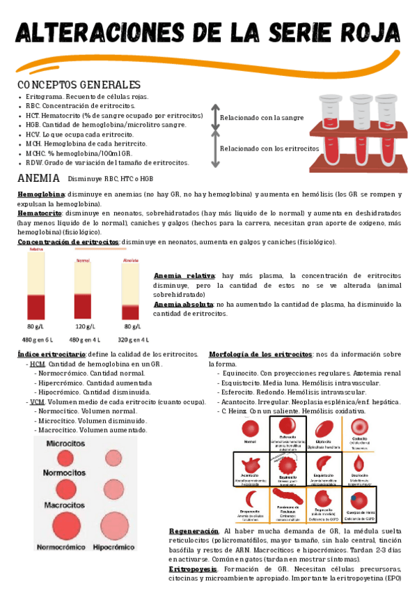 Miniatura del documento ESQUEMA.-ALTERACIONES-DE-LA-SERIE-ROJA.pdf