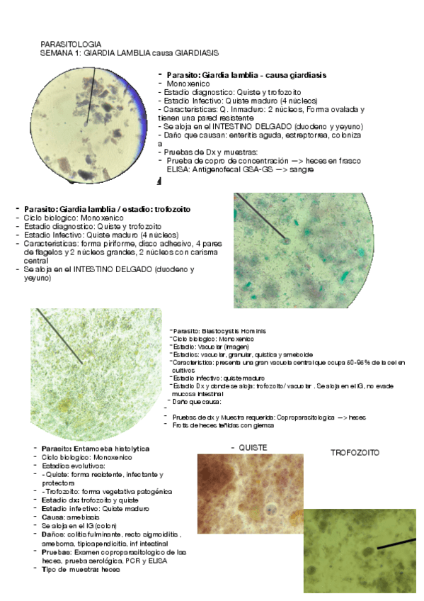 Miniatura del documento PARASITO-impre-2.pdf