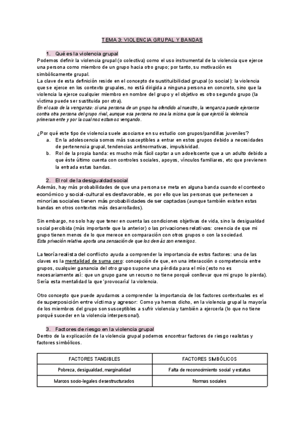 Miniatura del documento TEMA-3-VIOLENCIA-GRUPAL.pdf