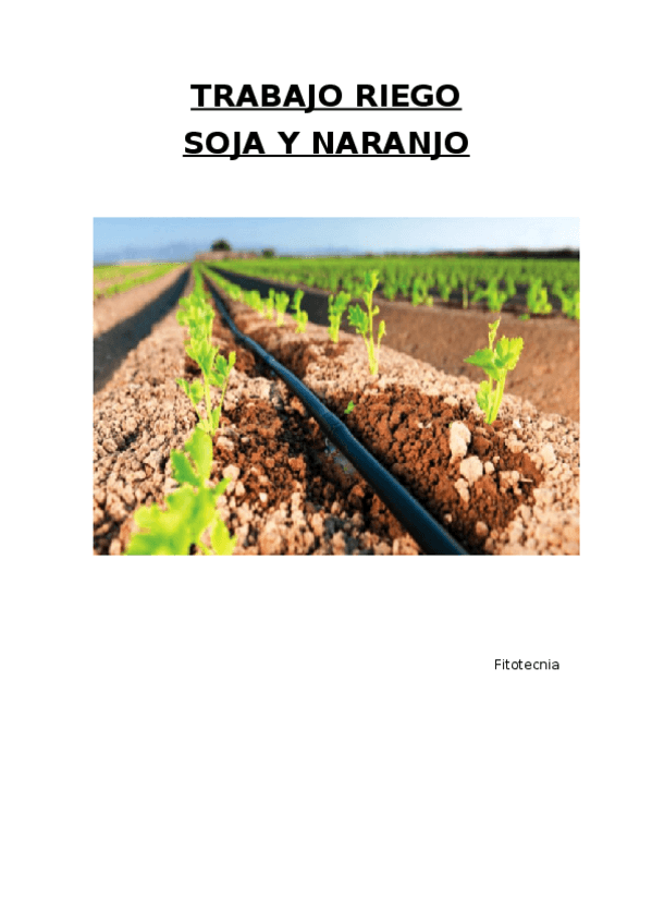 Miniatura del documento TRABAJO-RIEGO-soja-y-naranjo.docx