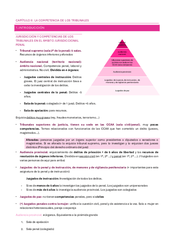Miniatura del documento TEMA-II-DERECHO-PROCESAL.pdf