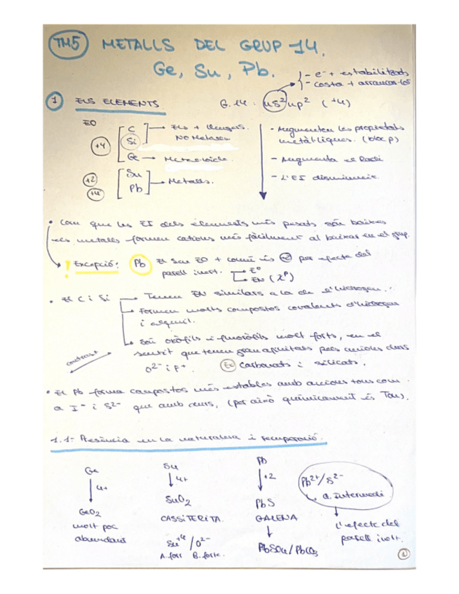 Miniatura del documento Apunts-TM-5.pdf