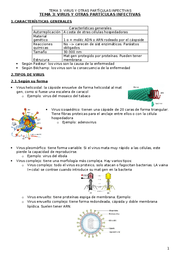 Miniatura del documento T03Virus-y-ortas-particulas-infectivas.docx