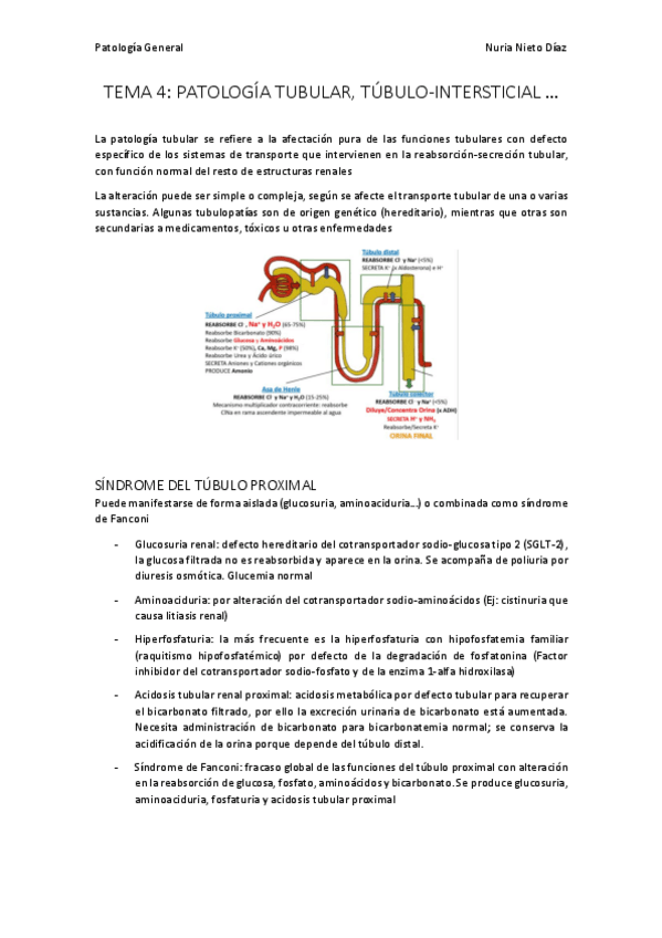 Miniatura del documento TEMA 4 - Patología tubular, túbulo-intersticial y vascular.pdf