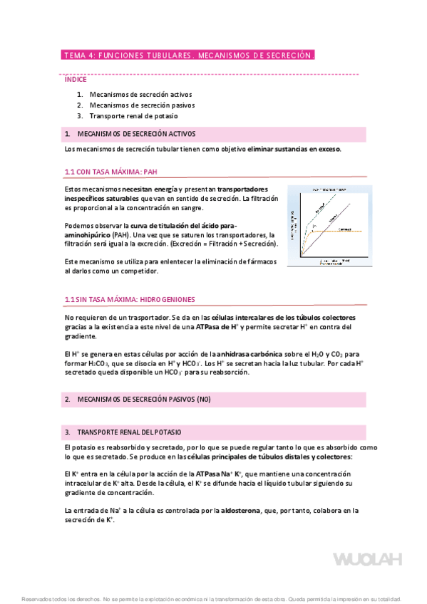 Miniatura del documento Apuntes-fisiologia-temas-4-y-5-renal-nervioso-y-digestivo.pdf