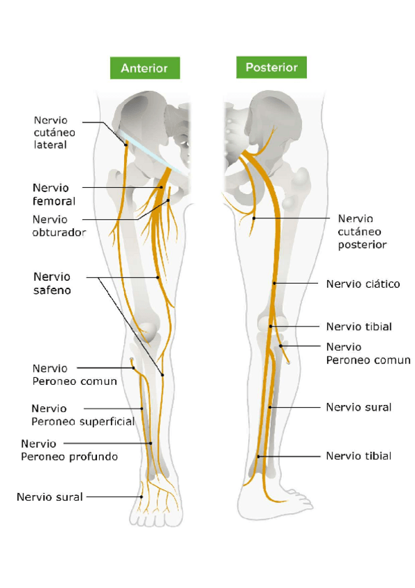 Miniatura del documento Imagen-Examen.pdf