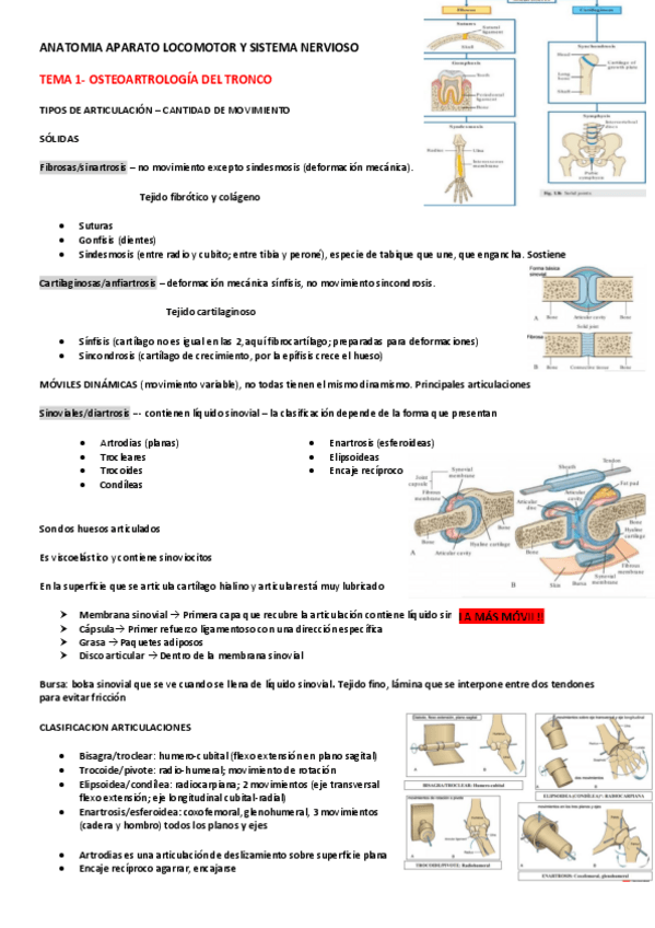 Miniatura del documento TEMA-1-ANATO-AP-LOCOM.-Y-SISTE-NERV.pdf