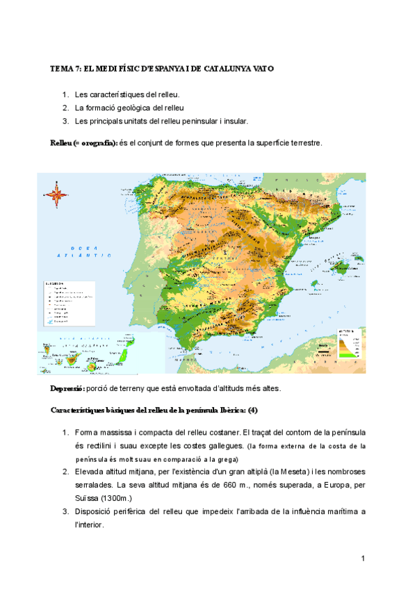 Miniatura del documento EL-MEDI-FISIC-DESPANYA.pdf