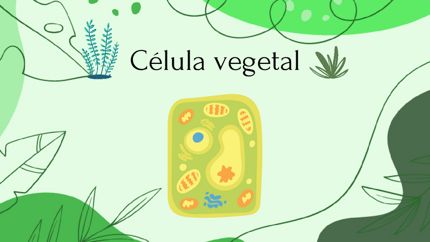 Miniatura del documento Celula-vegetal-1.pdf