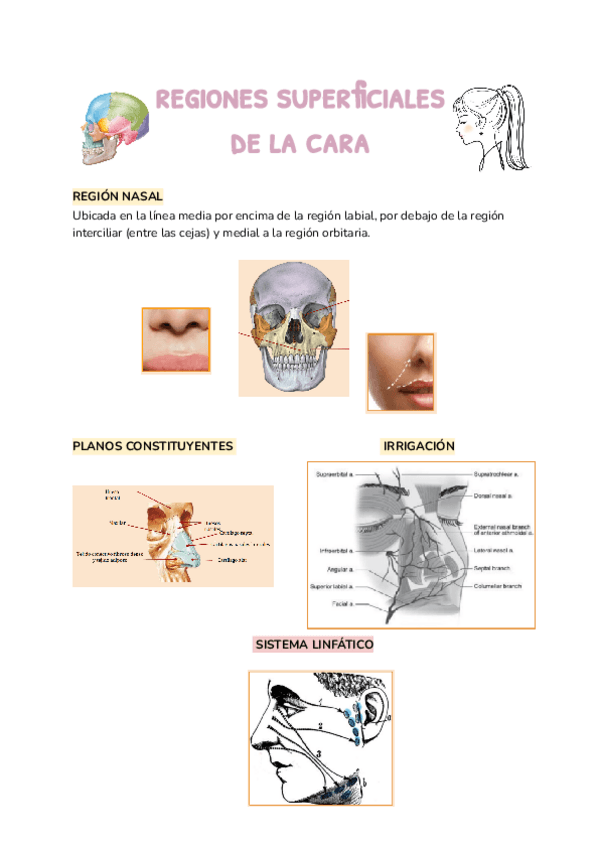 Miniatura del documento TEMA-4.docx.pdf