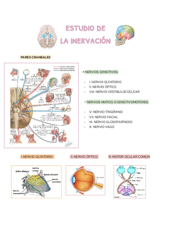 Miniatura del documento TEMA-78.docx.pdf