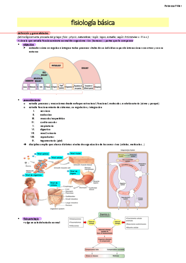 Miniatura del documento fisiología básica 1er parcial.pdf