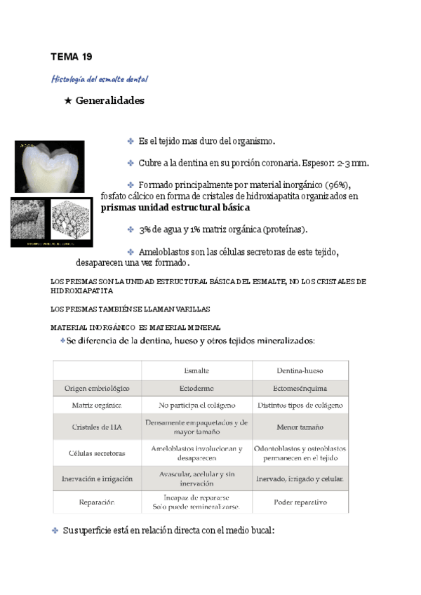 Miniatura del documento TEMA-19.pdf