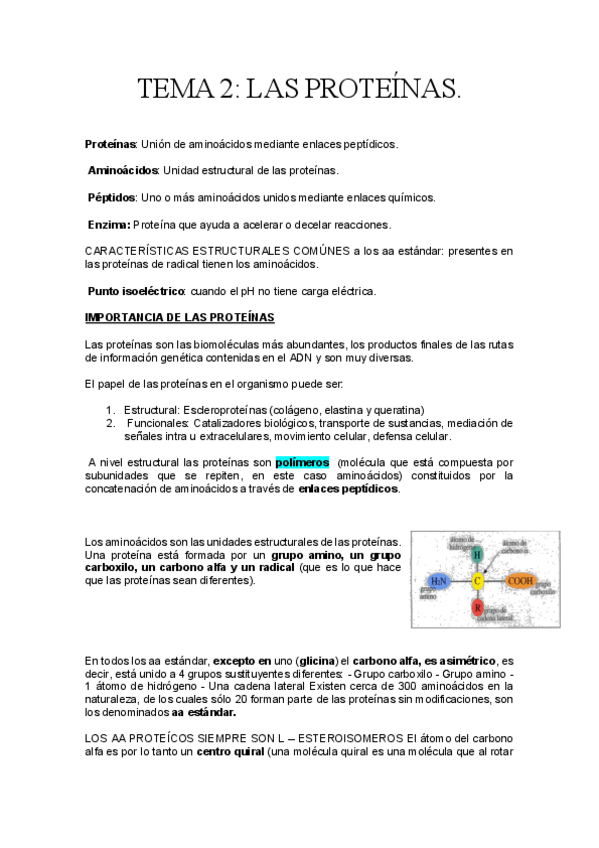 Miniatura del documento las-proteinas--bioquimica.pdf